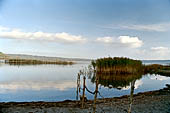 Riserva Naturale del Lago di Vico.